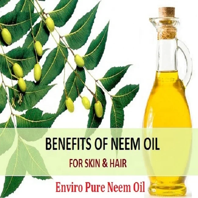 Certified Organic Cold Pressed Neem Oil ready to use Extracted by the wildly collected Natural Neem Seed at Lowest cost