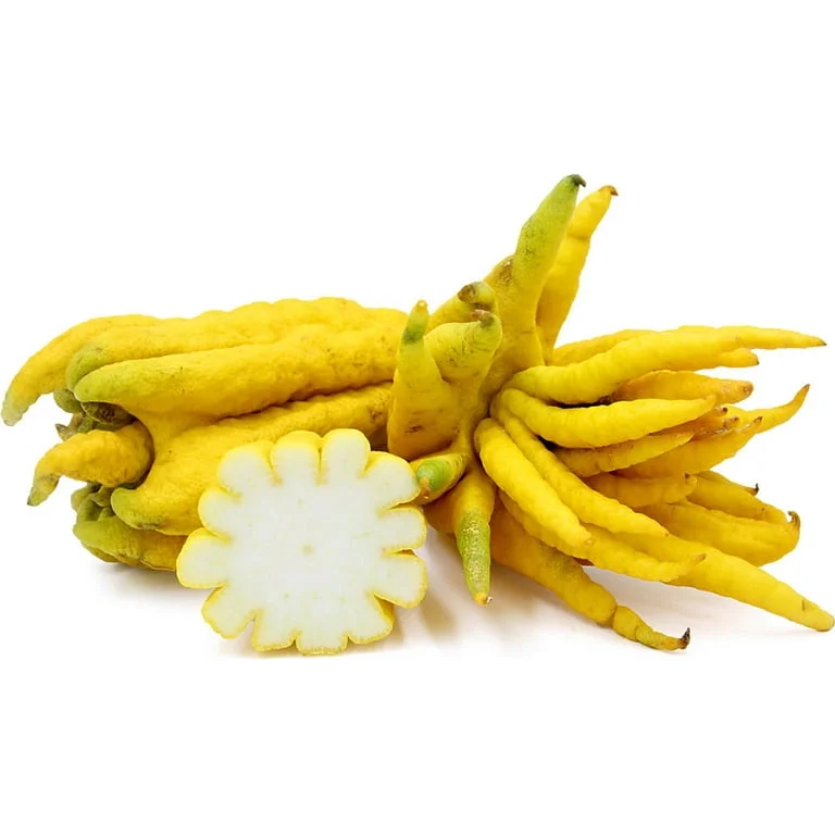 PREMIUM ORGANIC BUDDHA HAND FRUIT FOR GOURMET FLAVOR FRESHLY HARVESTED AND PURE / CITRUSY AND FRAGRANT / VALUE-PRICED