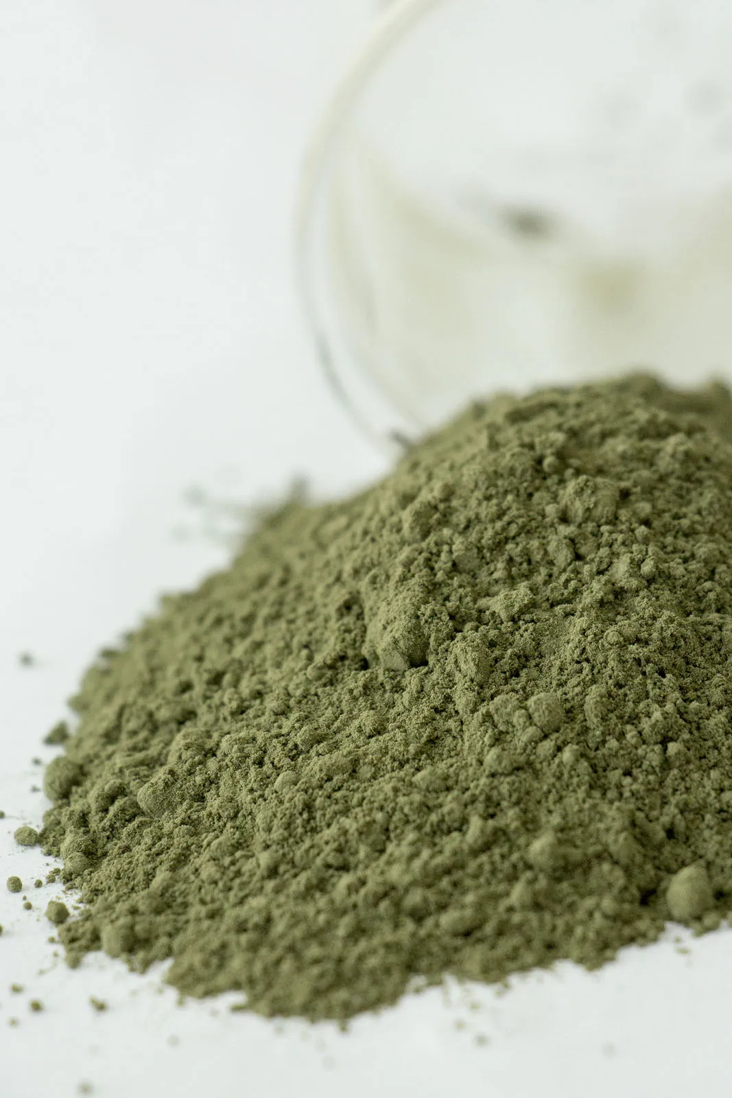 Spirulina Powder Wholesale Bulk Spirulina Powder Protein