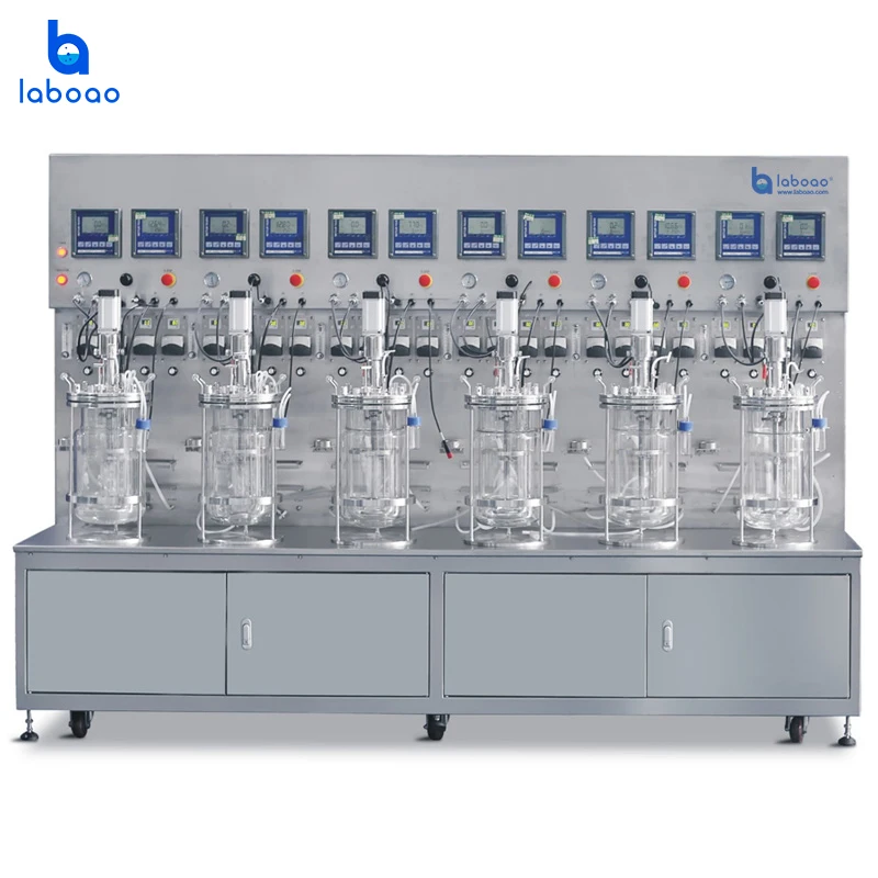 Laboao Microorganisms Vaccine Bioreactor Laboratory Fermentor