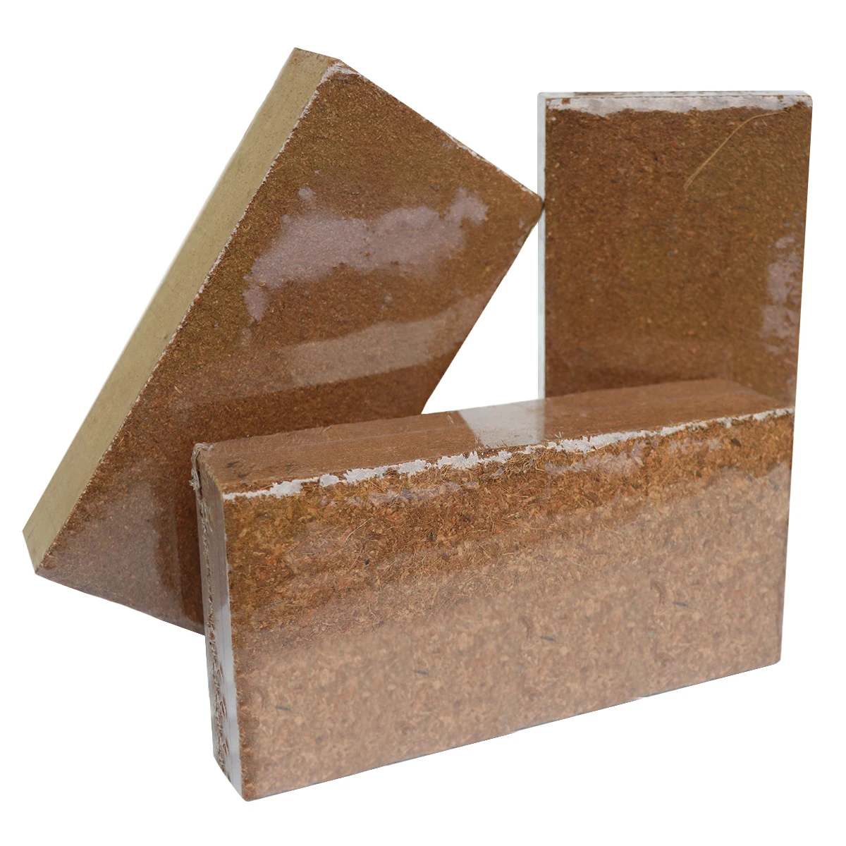 Coco Peat/Coco Fiber/Cocopeat/Peat Moss Price