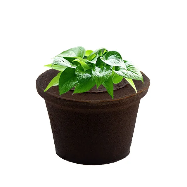 Экологически чистые посадочные кубики-органическая среда для роста растений разработанная успеха губчатые пробки гидропоники