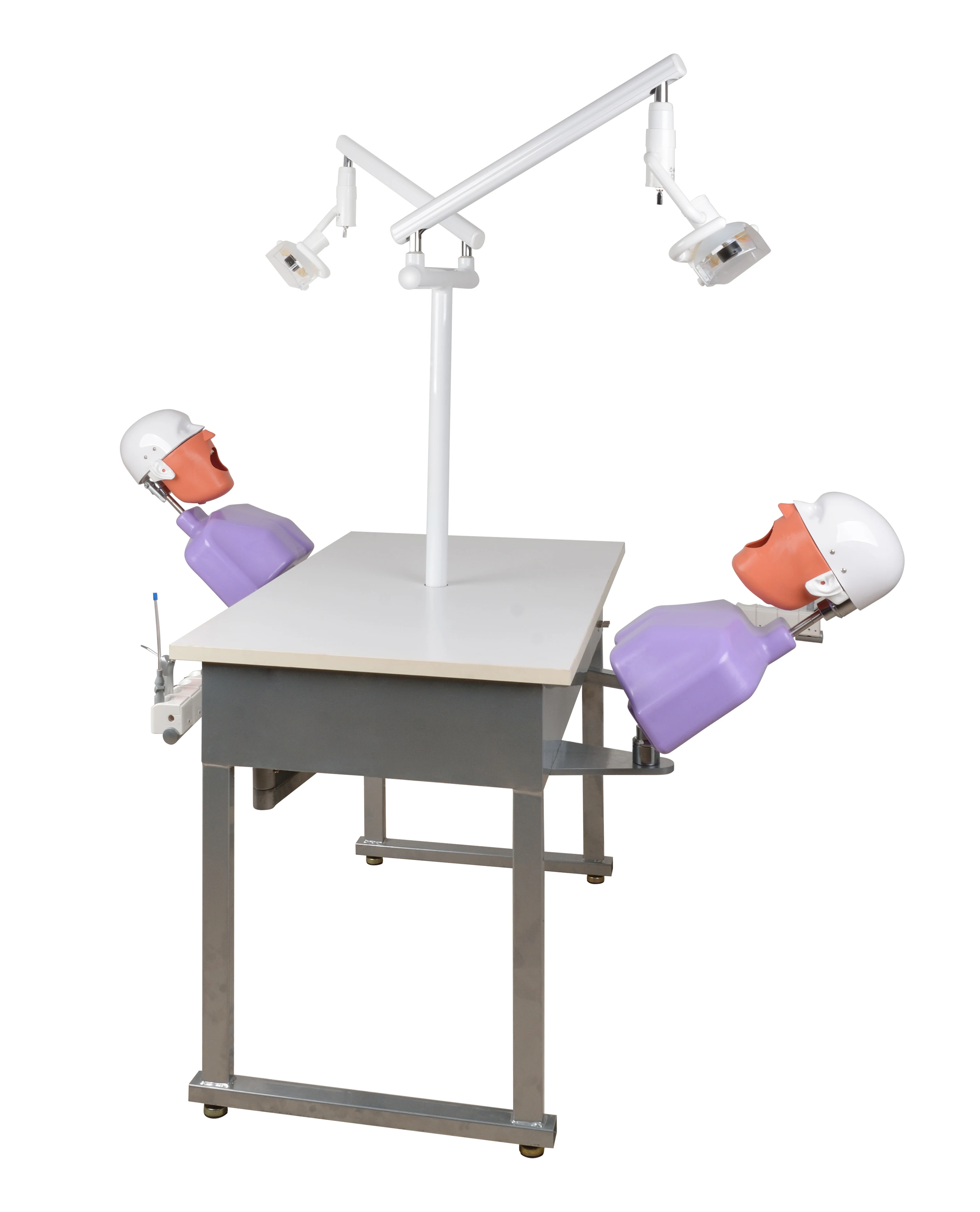 manikin dental phantom head dental simulator for training practice dental phantom head dental simulator