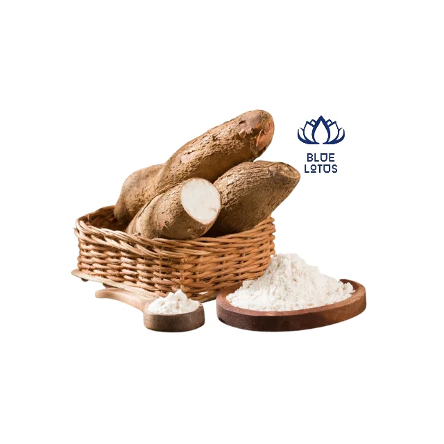 Vietnam Tapioca Starch Cassava Starch competitive price for export