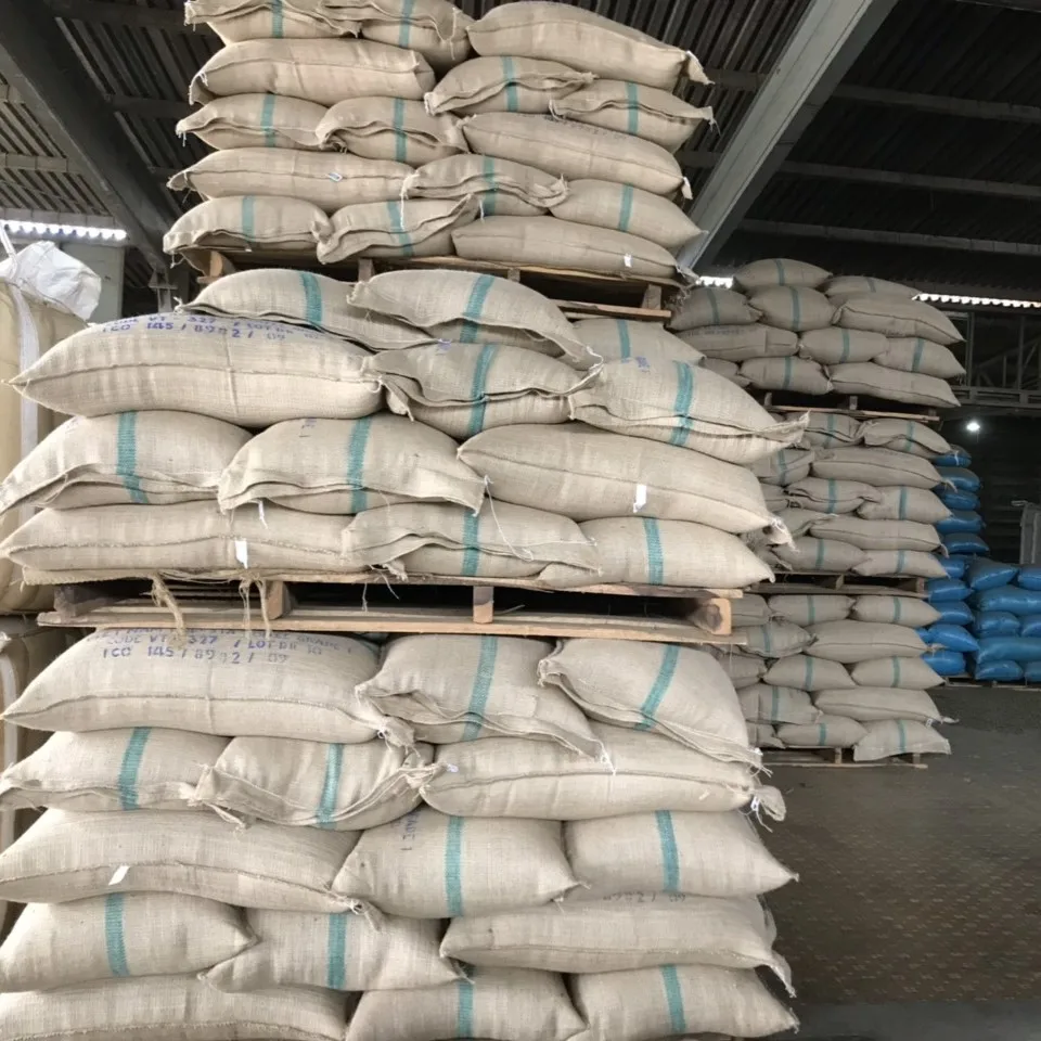 PREMIUM GREEN ROBUSTA COFFEE BEANS PERFECT FOR ROASTING, RICH FLAVOR SCR16 SCR18 UNWASH CLEANED WET POLISHED HIGH QUALITY EXPORT