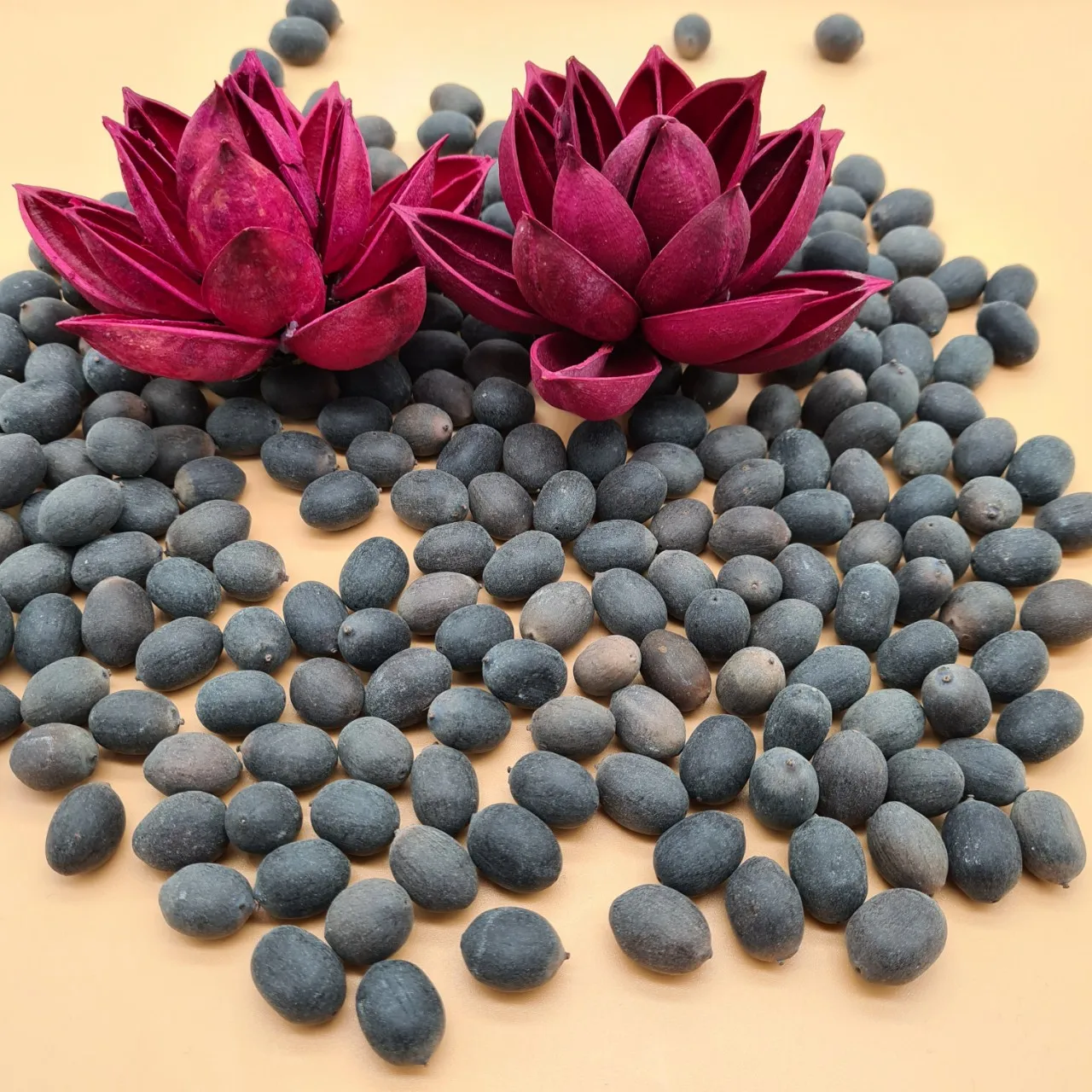 Семена цветка лотоса из Вьетнама