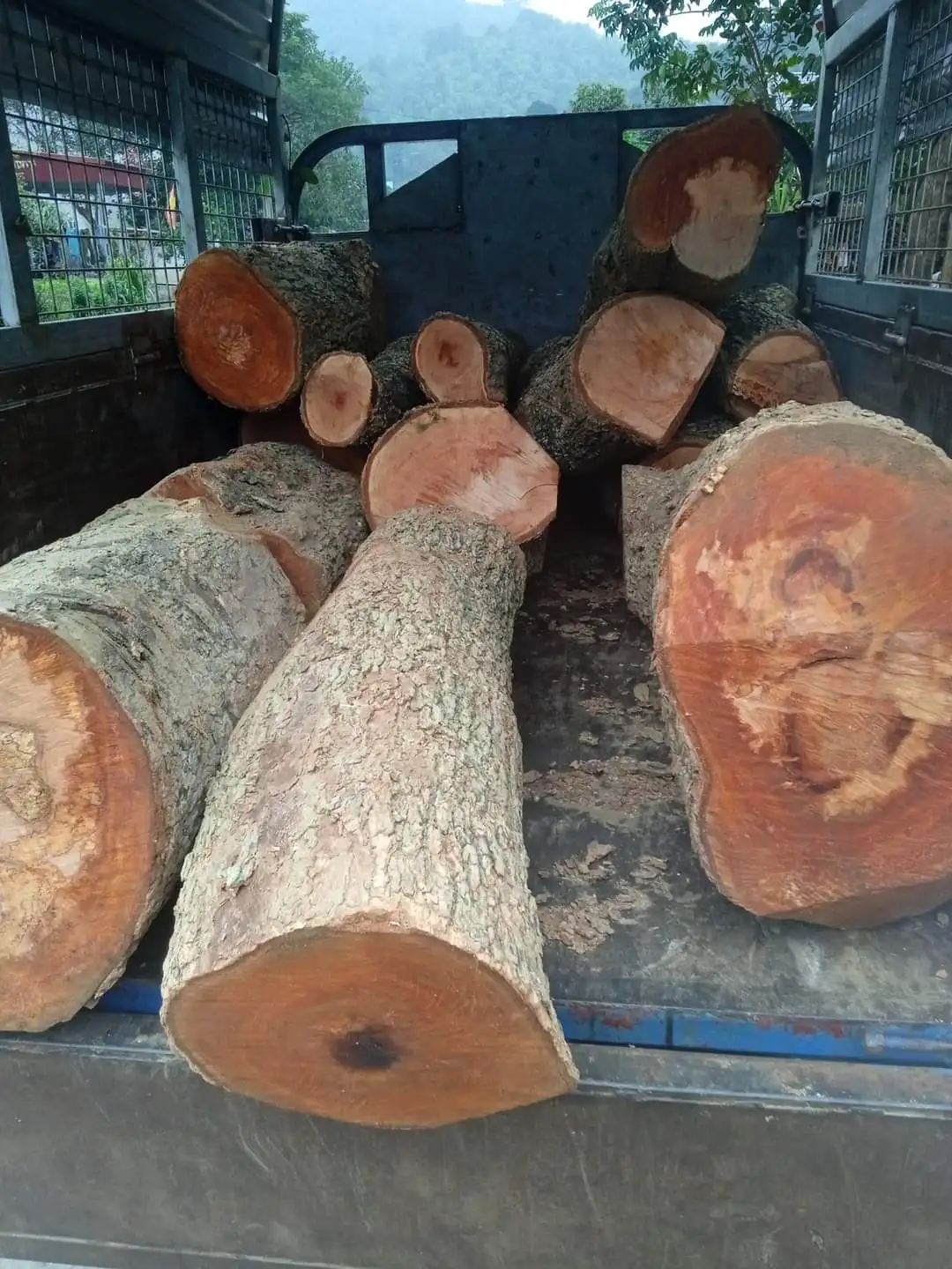 Дров Вьетнам экспорт длительное горение имеет