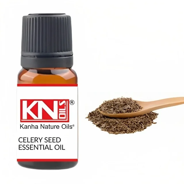 Buy Kanha Bulk Celery Seed Essential Oil High Quality Pure Essential Oil 1L Celery Seed Essential Oil