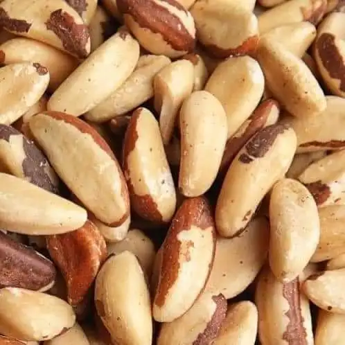 Wholesale Premium Organic Toasted Brazil Nuts With Shell for Snacks