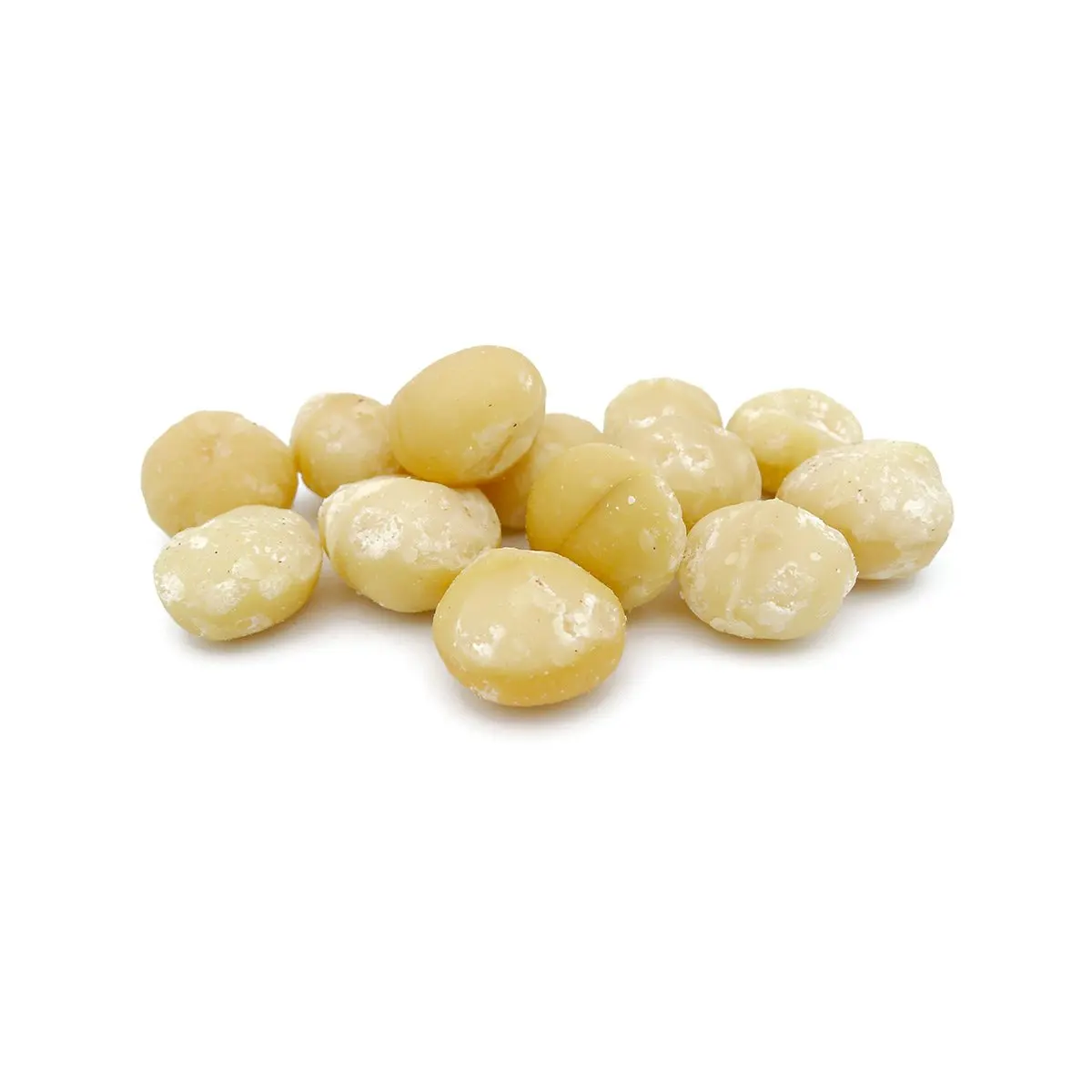 Organic Roasted Macadamia Nuts in Shell Dried Raw Macadamia Nut for Food