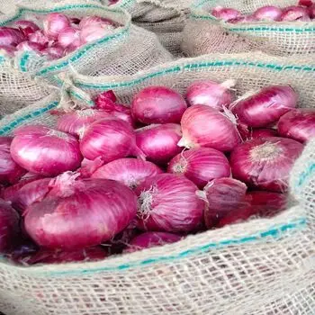 15 кг упаковка свежий желтый лук, низкая цена, свежий лук, Размер 9 см вверх