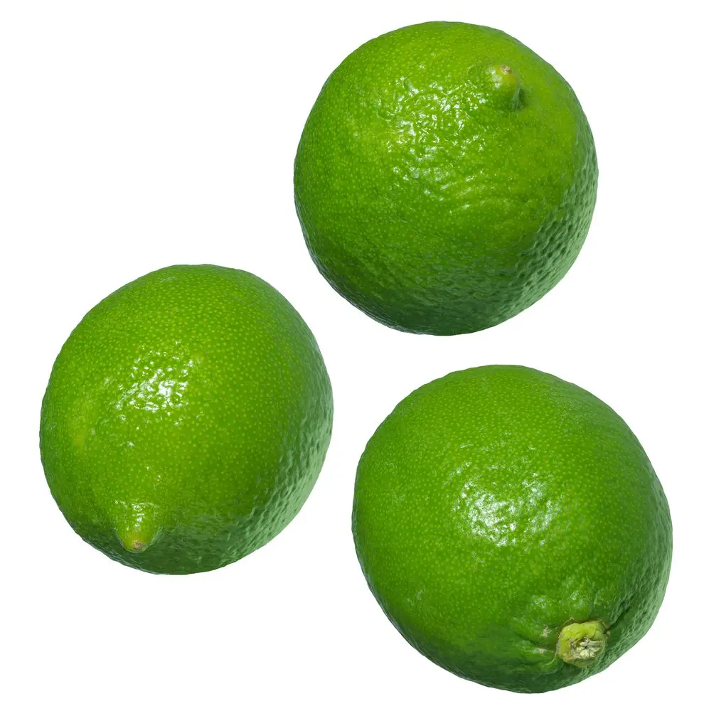 Best Grade Fresh Lemon / Fresh Lime in Bulk Competitive Price Wholesale