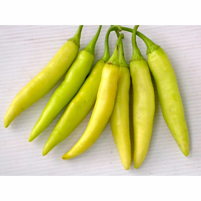Оптовая продажа, зеленый фермер из Вьетнама, свежий Горн, перц, перцовый Перцовый Чили, свежие овощи, используемые для украшения и приправ, блюд