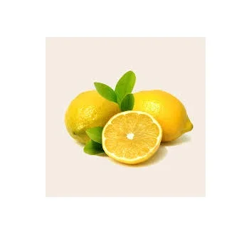 Tasty and Natural Low-Calorie Customized Instant Kombucha Powder/Ginger Lemon Black Tea Powder From India