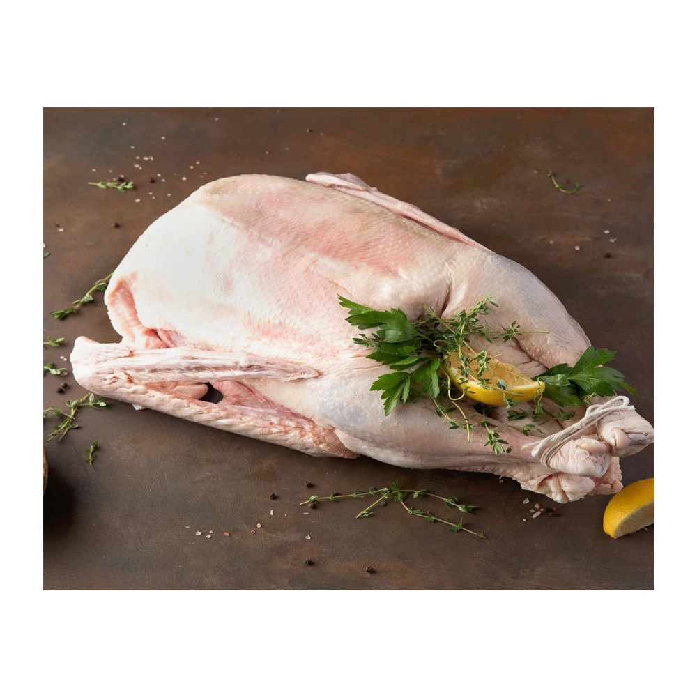 Poland Manufacturer Frozen Halal Goose fat Buy At Bulk Price