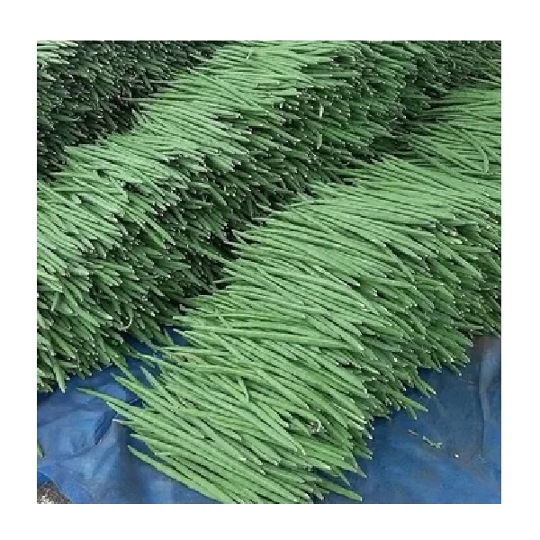 Fresh Green Drumstick Vegetable for export, Edible Fresh Drumstick Vegetable wholesale supply UK