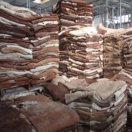 Wholesale Dealer Of Cheapest Price Dry And Wet Salted Cow Hides / Skins / Animal