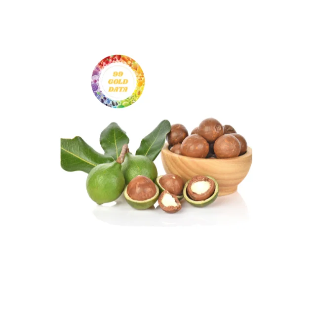 Wholesale Vietnam Macadamia Nuts Fresh Premium Quality Bulk Supply Best Prices Ideal for Retailers and Distributors Worldwide