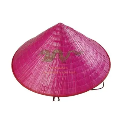 Vietnam Bamboo Conical Promotion Hat Use For Beach Party Holiday Customize the size