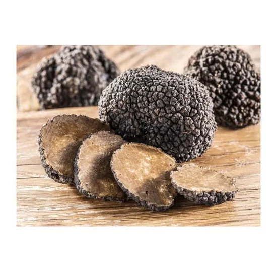 ORGANIC Color Shelf Mushroom Truffle Italy Wild Fresh Blackcarpaccio of Fine BLACK TRUFFLES