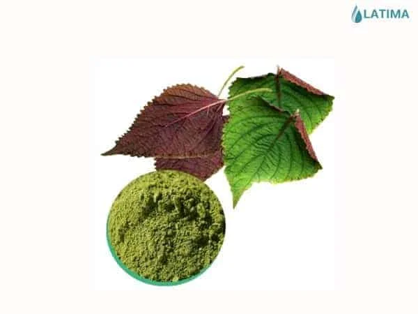 High Quality Perilla Powder Products Hot Selling Powder Extraction