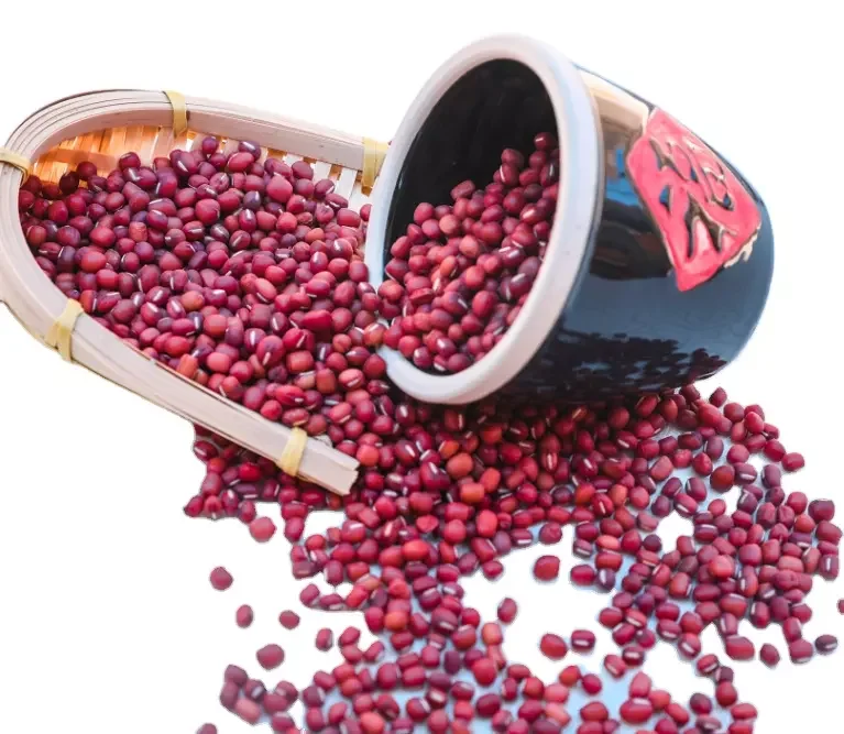 All Size Red and White Kidney   Beans