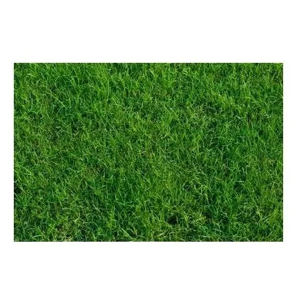 Quality Timothy Hay Quality Alfalfa Hay/ Timothy Hay and Lucerne Clover in Bales/Bermuda Orchard Grass Oat Hay