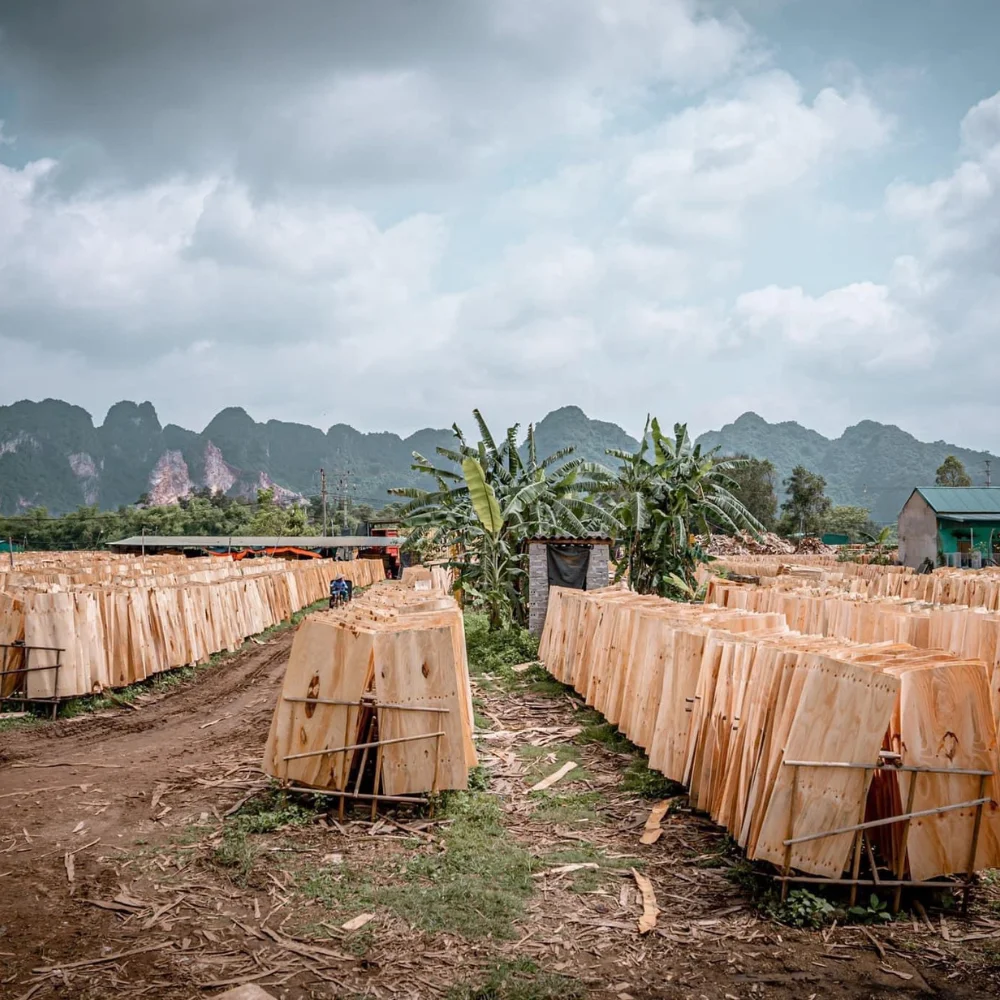 Unfinished Rectangular Wood Boards ARACIA WOOD PEELED BOARD from Viet Nam