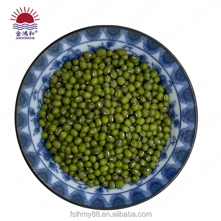 Hot green sprouted broad mung bean