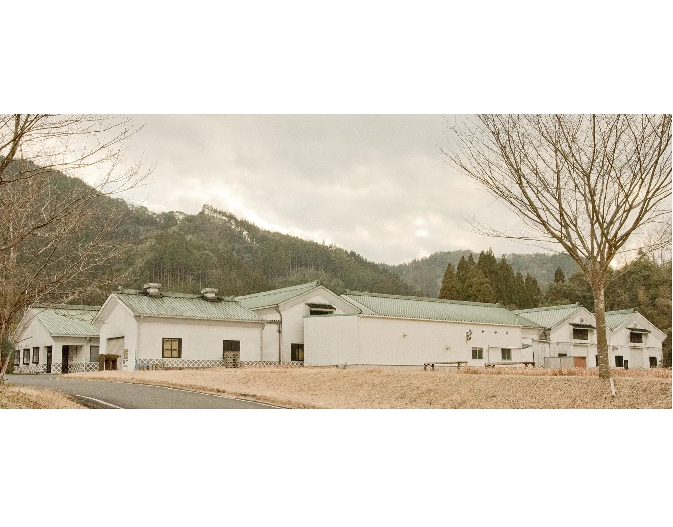 Alcoholic beverage wine sake has an elegant ginjo aroma like that of an apple