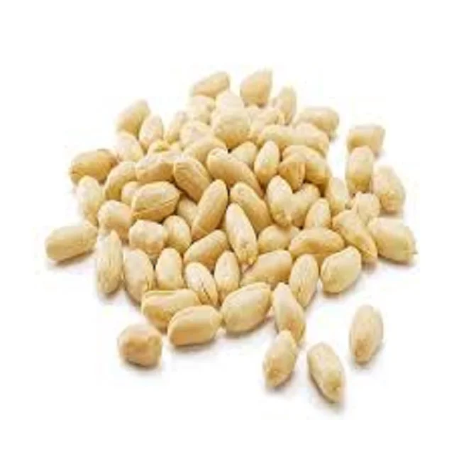 Best grade Groundnut Different Size of Counts and Good Taste of Peanut From Healthy Snacks Exporter Customised Packing