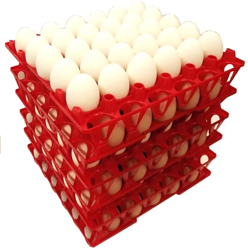 Fertilized Chicken Eggs/ Cobb 500 Broiler Chicken Eggs/Fresh Cobb 700 Fertile eggs for sale and ready for export