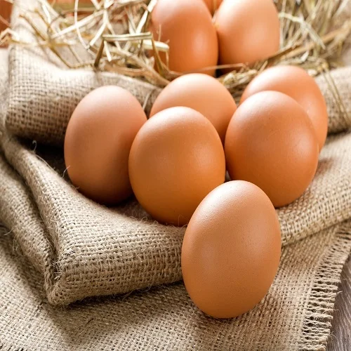 Egg powder 100% natural from fresh egg with certifications