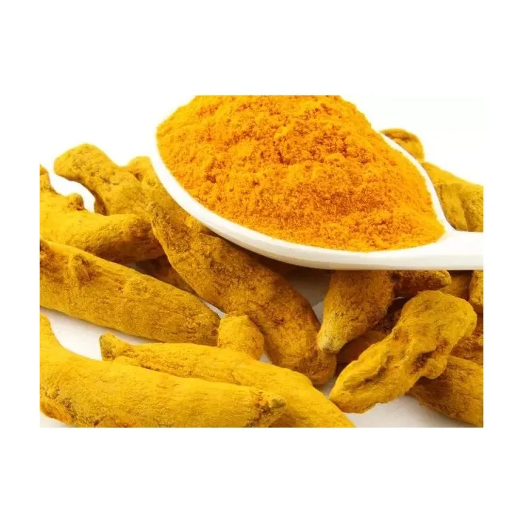 Spices & Herbs Turmeric Powder Indian Turmeric Powder Finger and Broken