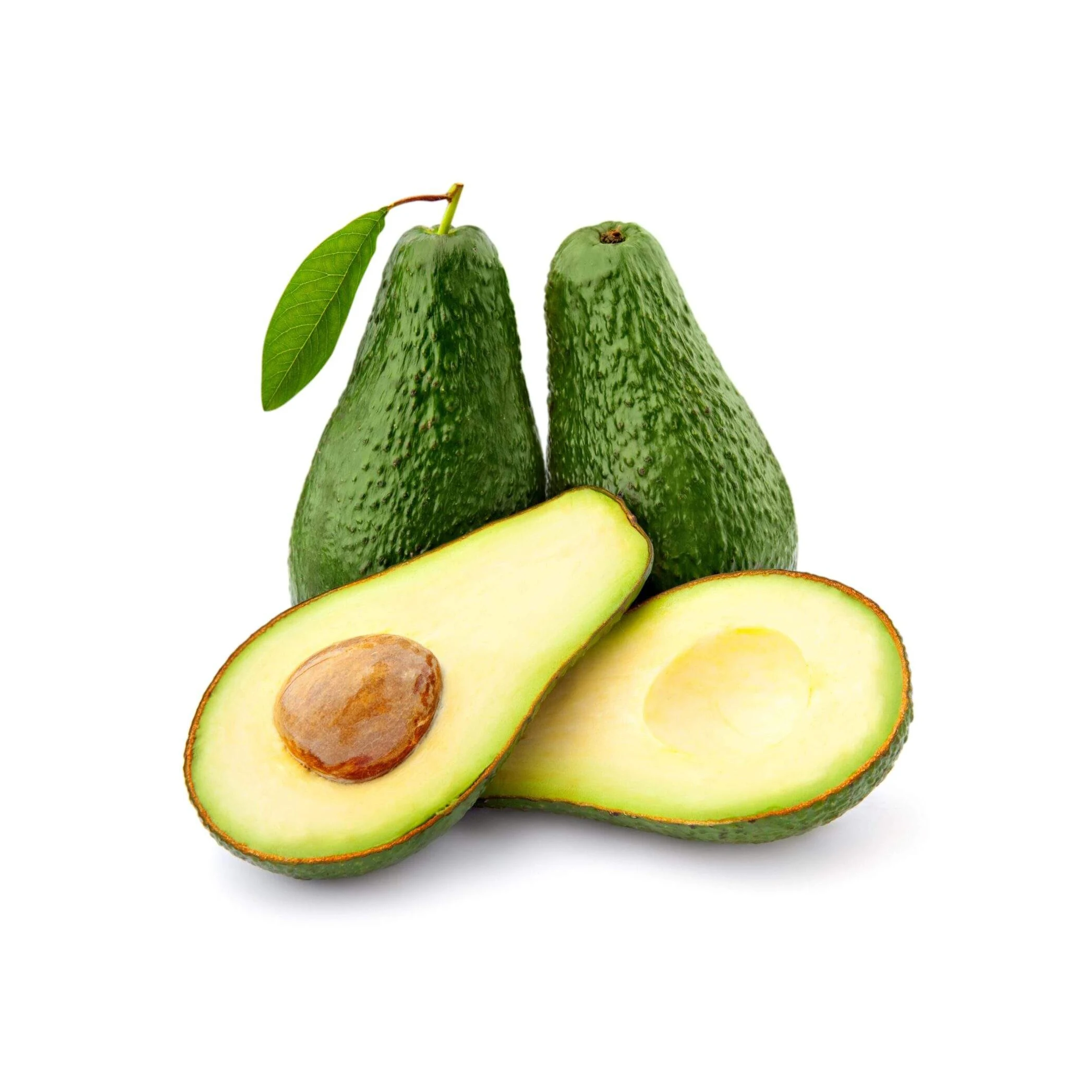 FRESH AVOCADO with HIGH QUALITY and BEST PRICE