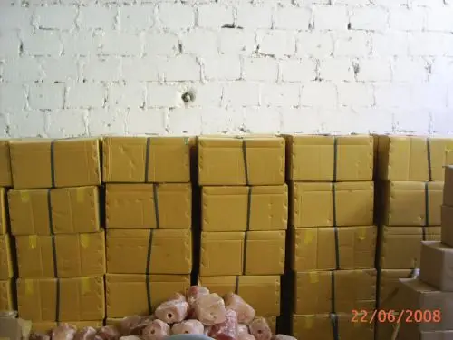 Natural Lamps Cartons Pix1