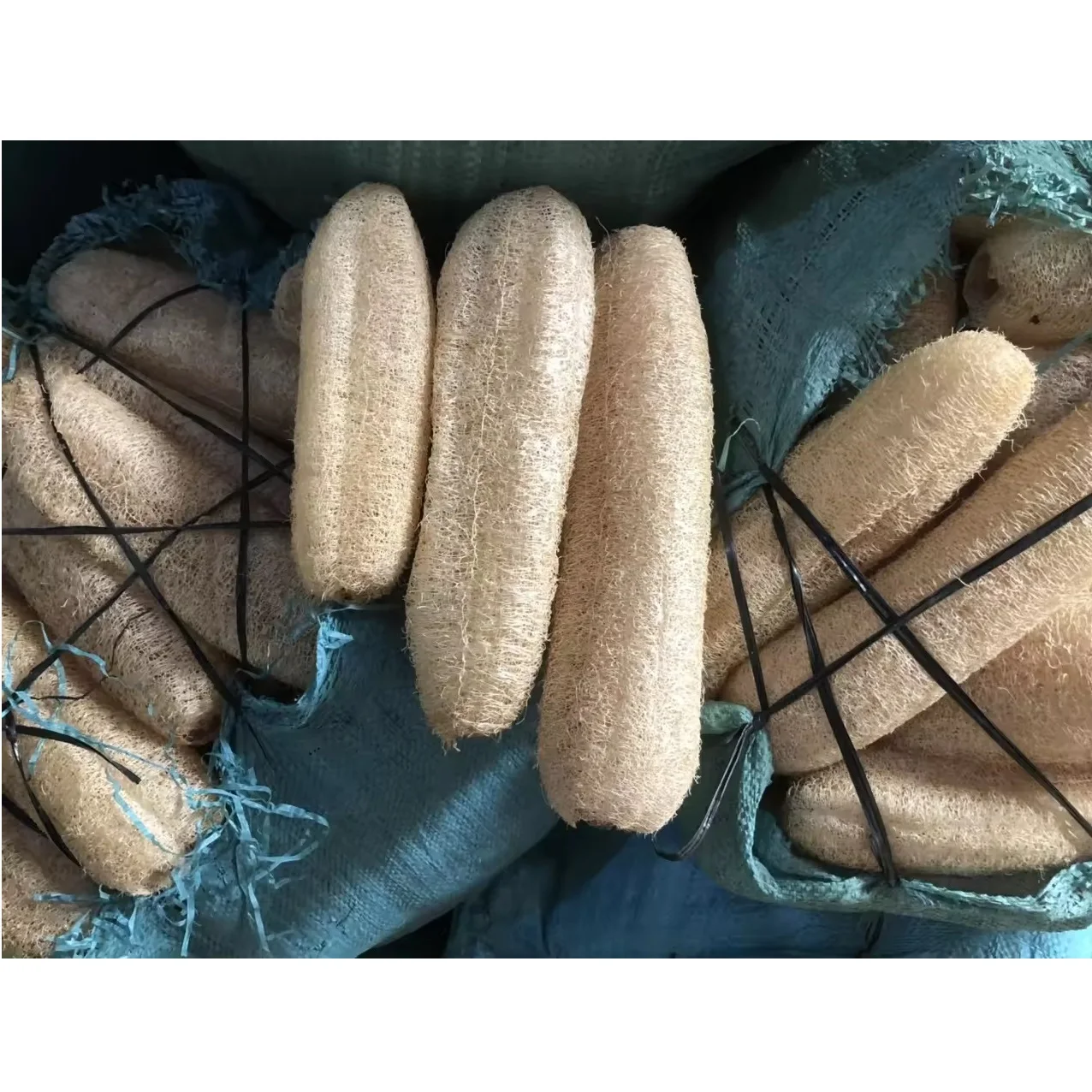 Bathing Size Removing Low MOQ Loofah Back Scrubber Eco Friendly Product OEM Support Smell Body Loofah Customize In Vietnam