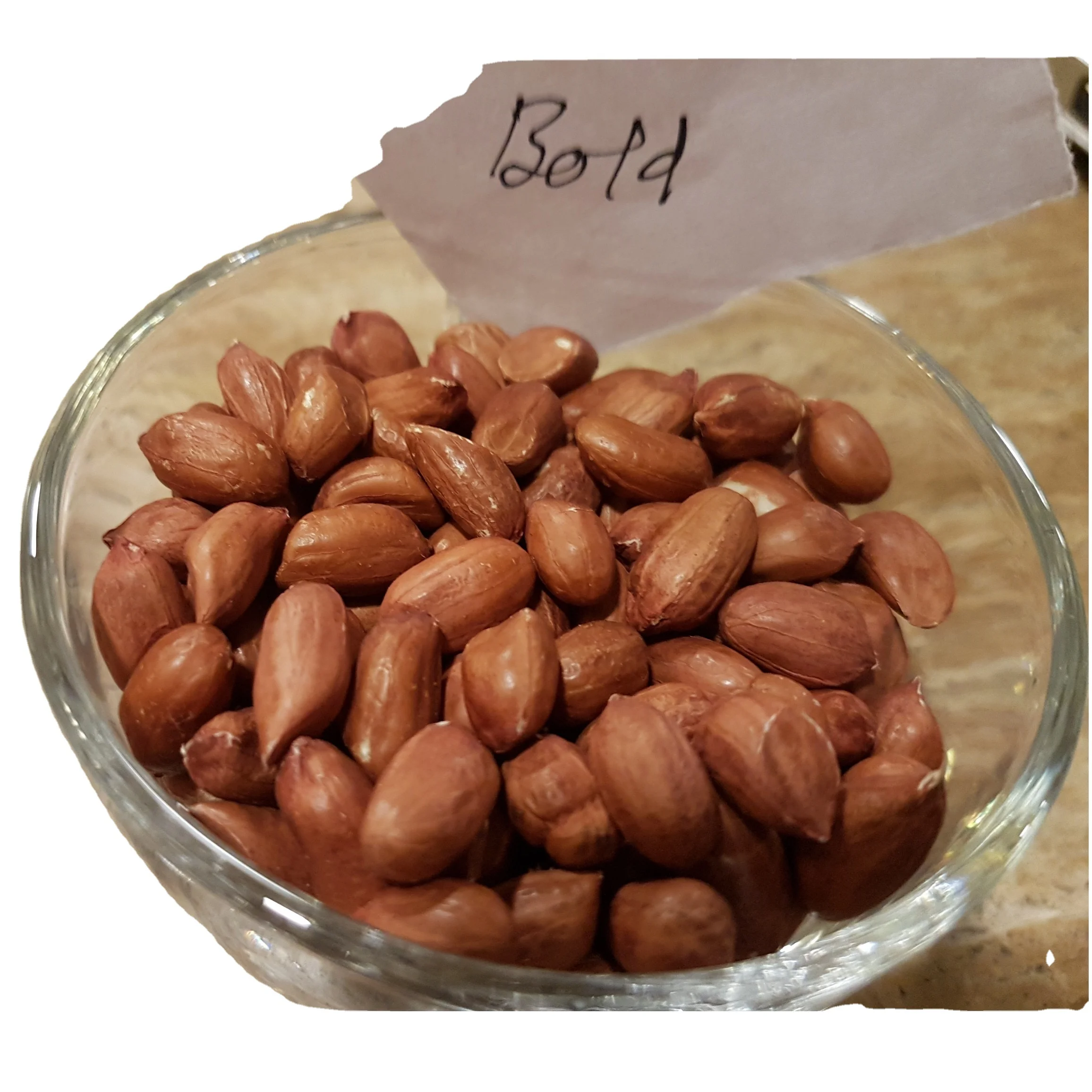 Bold Peanuts High Oil Content High Grade Groundnut Peanut supplier from India