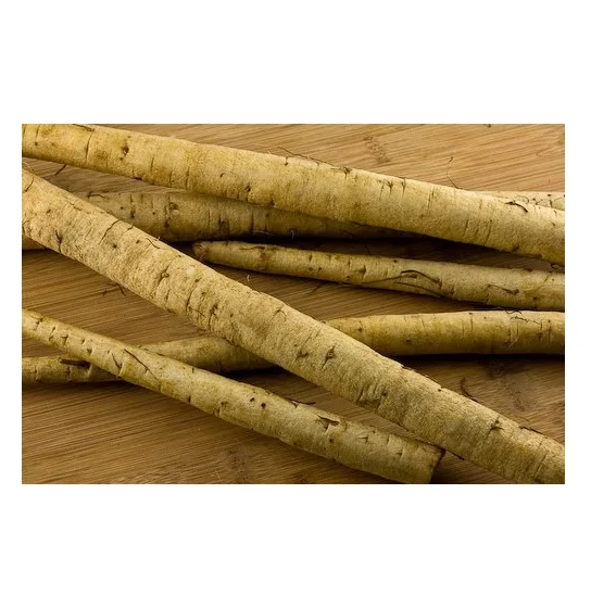 High Quality Fresh Vegetables Burdock Available For Sale At Low Price