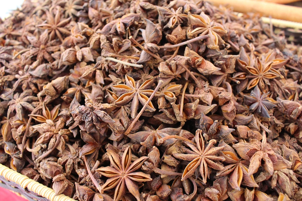 Good Price for Standard Star Anise from Vietnam Export All Grade in Bulk Quantity and Top Quality