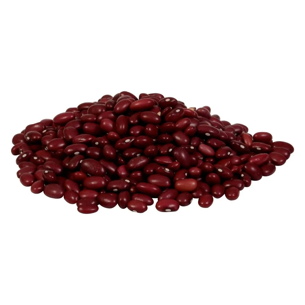 Premium Bulk Natural Dried Red Beans for Wholesale Sale Providing High Grade Red Beans at Best Market Prices Globally