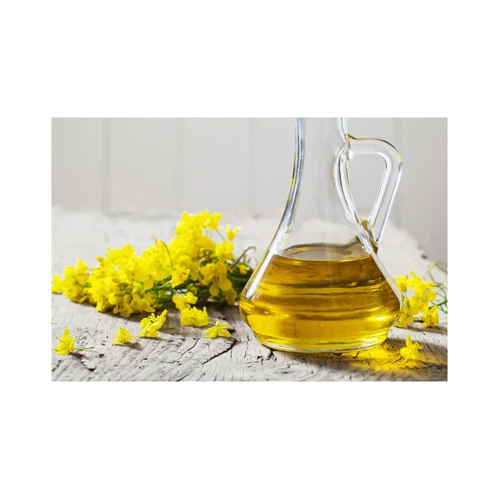 Wholesale Canola Oil Rapeseed Oil Bulk Canola Oil for Sale