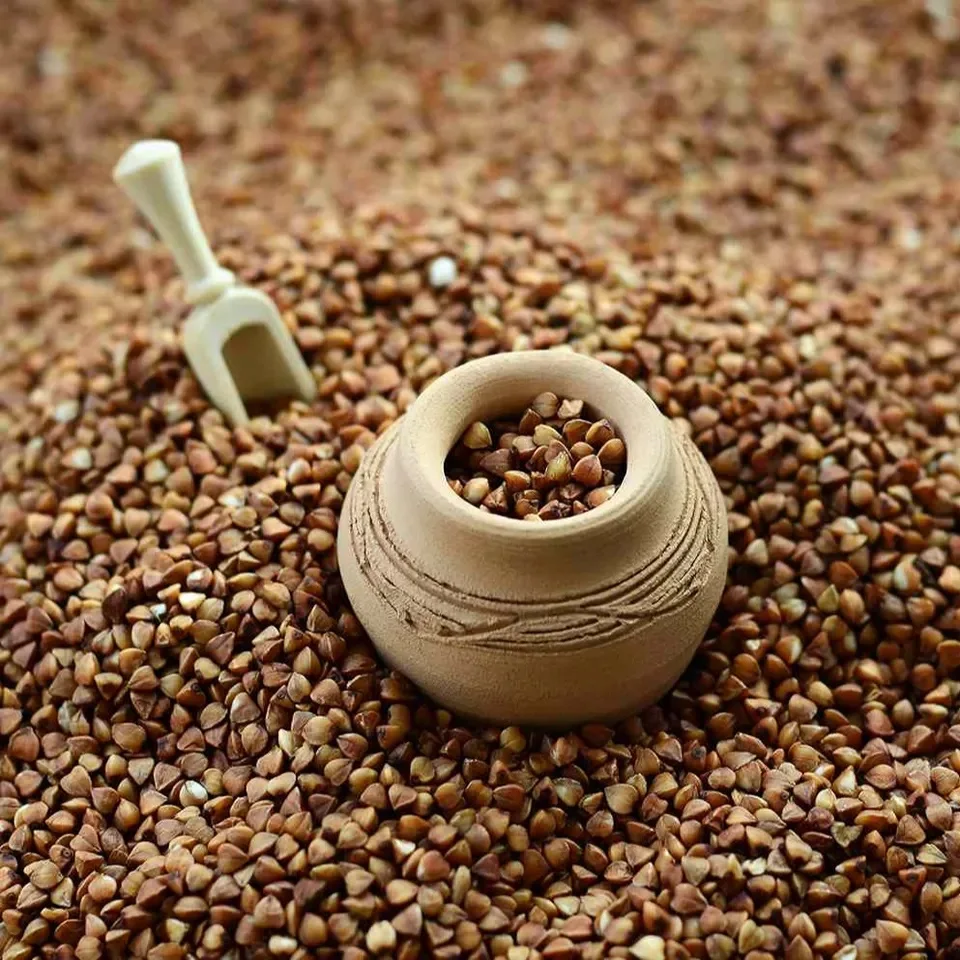 Натуральный экстракт гречневой крупы порошок флавоноиды из клетчатой 25%