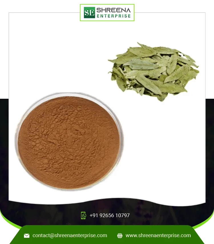 Senna Dry Extract Powder Wholesale Price Senna Dry Extract Indian Factory Price Senna Leaf Extract