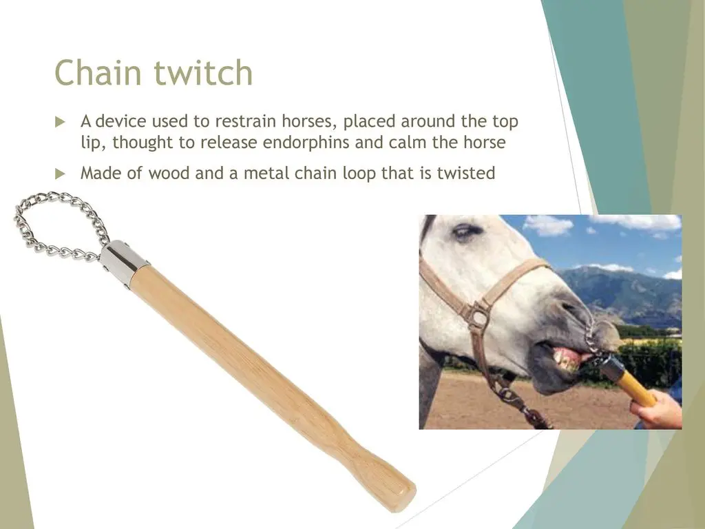 twitch chain horse operation theatre clinical medical animal veterinary instruments