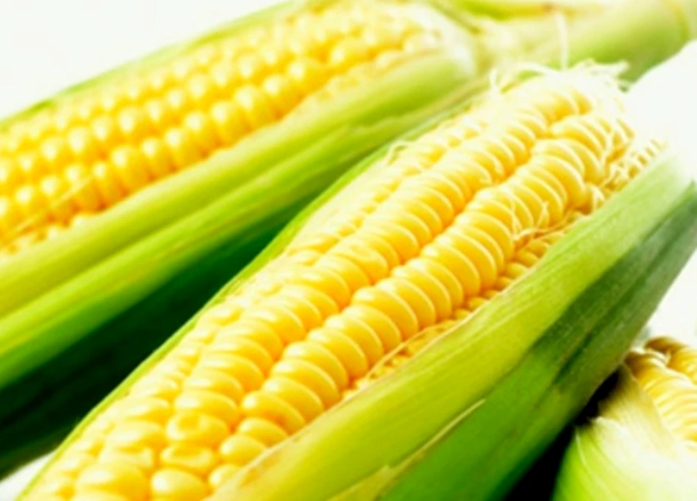 Milk Candy My Chewy Corn Flavour Good Taste Soft Sweet GMP Best Quality Product 360 G /100pcs