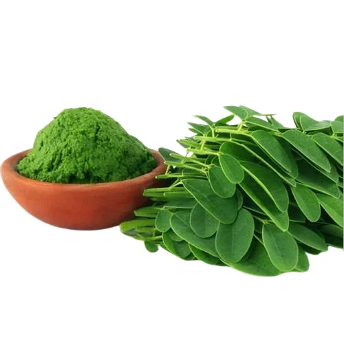 Pure Organic Senna Extracts Cassia Angustifolia USP Calcium Sennoside 20% For Multi Purpose Uses Sale
