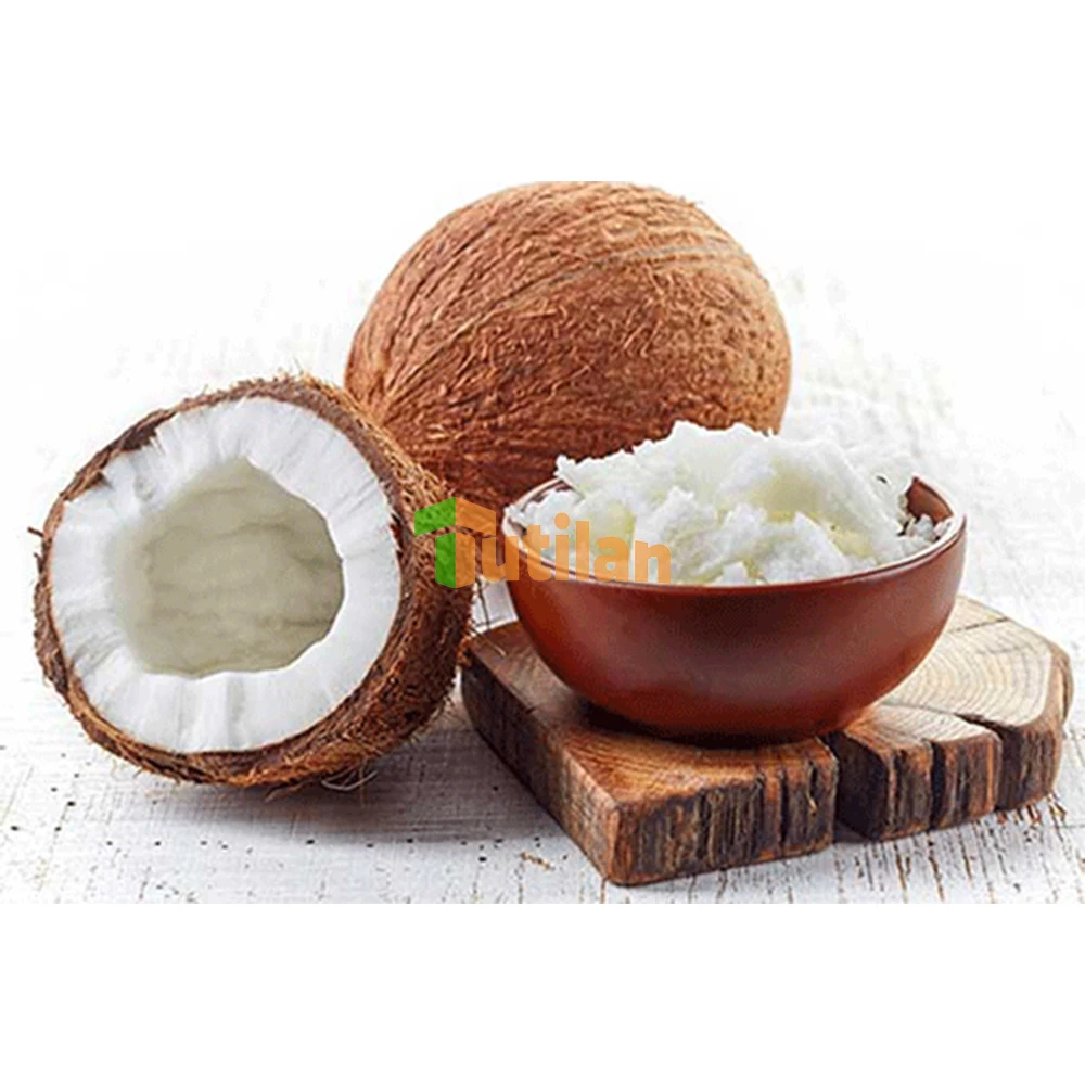 Organic Desiccated Coconut Medium Grade High Fat factory price original made in Vietnam - Bulk price