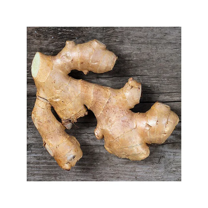 WHOLESALES HIGH QUALITY FRESH GINGER