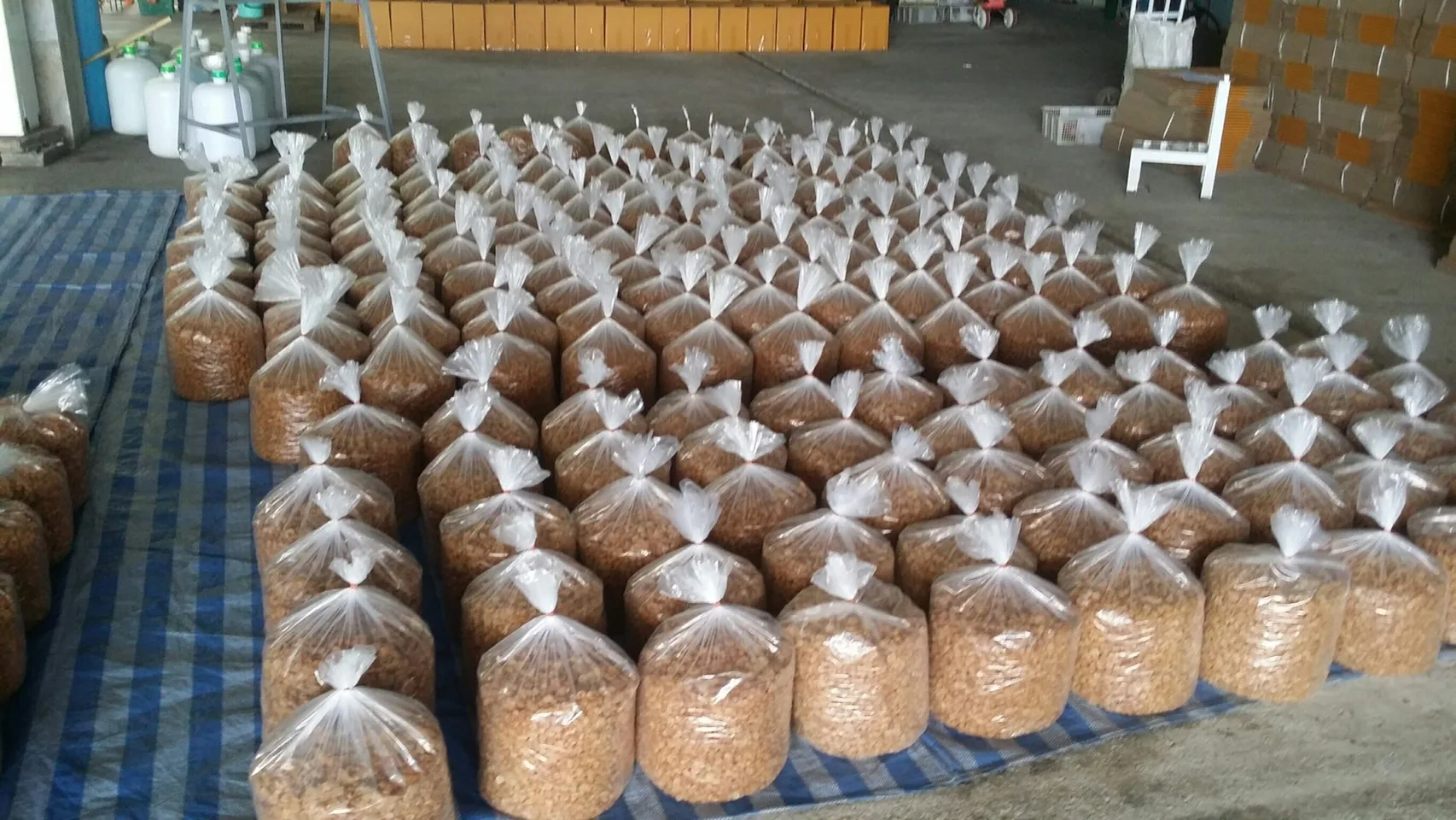 Thai Dried longan Shredded Grade